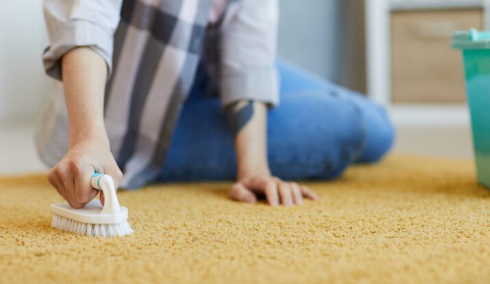 Best Carpet Stain Removal Techniques 